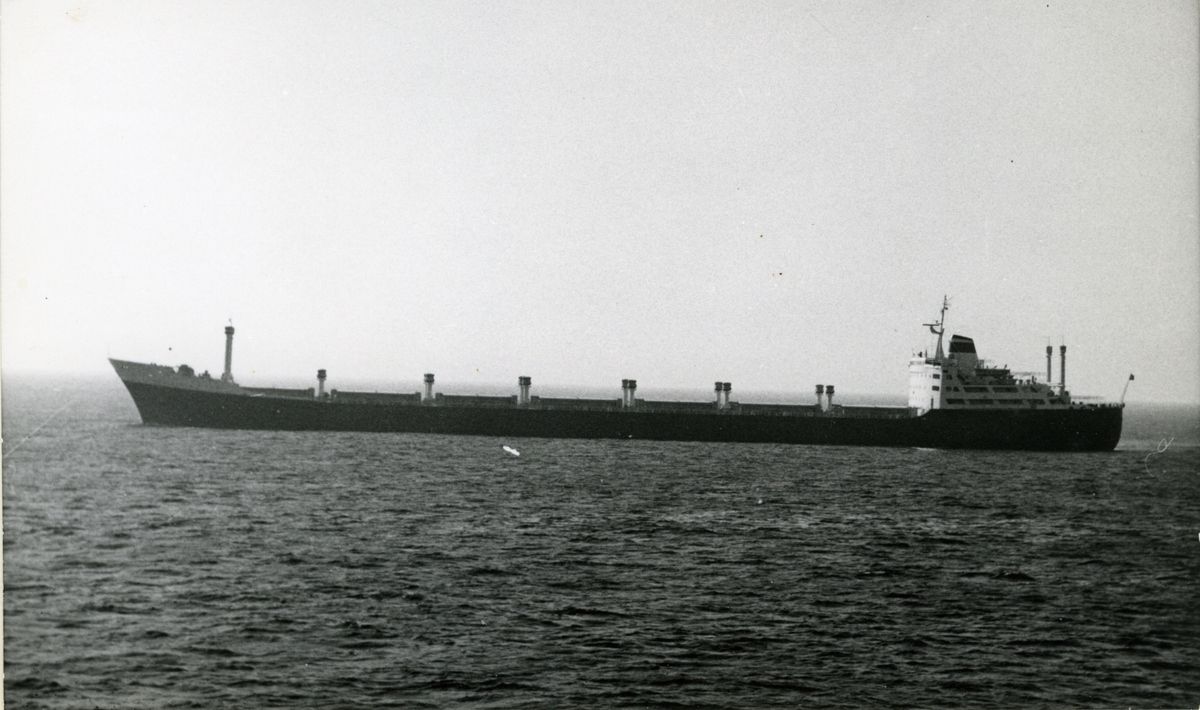 Ägare:/1967-86/:  Silos Granari del Mezzogiorno S.p.A. Hemort: Bari.