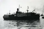 Ägare:/1934-41/: Skibs A/S Einvik. Hemort: Trondheim.