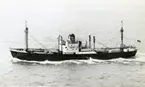 Ägare:/1951-1967/: Argo Reederei Richard Adler & Söhne. Hemort: Bremen.