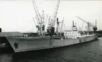 Ägare:/1962-82/: Polskie Line Oceaniczne. Hemort: Gdynia.