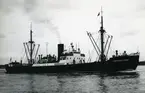 Ägare:/1946-  /: S.S.S.R. Hemort: Leningrad. /  -68/: S.S.S.R. Hemort: Arkhangelsk. /1968-68/: Poul Christensen. Hemort: Nakskov.