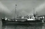 Ägare:/1953-58/: Union Steamship Co. of South Africa, Ltd. Hemort: Cape Town.