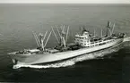 Ägare:/1963-77/: Polskie Linie Oceaniczne. Hemort: Gdynia.