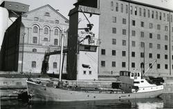 Ägare:/1962-66/: Engeline de Buhr. Hemort: Emden.