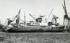 Ägare:/1964-91/: S.S.S.R. Hemort: Kaliningrad.