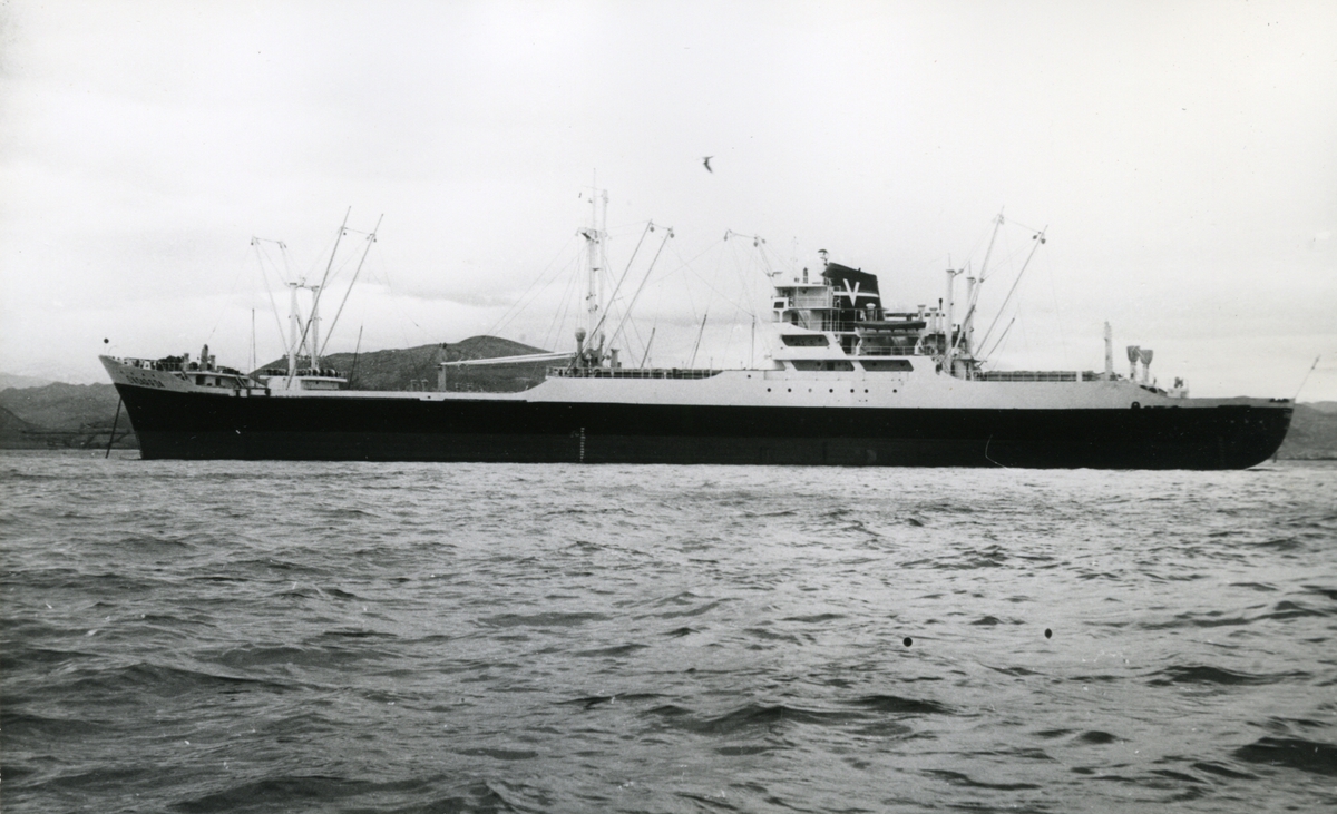 Ägare:/1964-71/: Naviera Vizcaina S.A. Hemort: Bilbao.