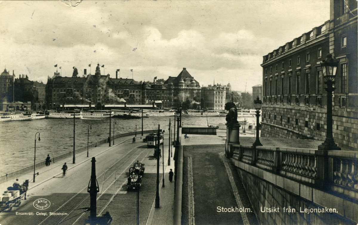 Stockholm. Utsikt från Lejonbacken.
Ensamrätt Calegi Stockholm
No 4059 Import
