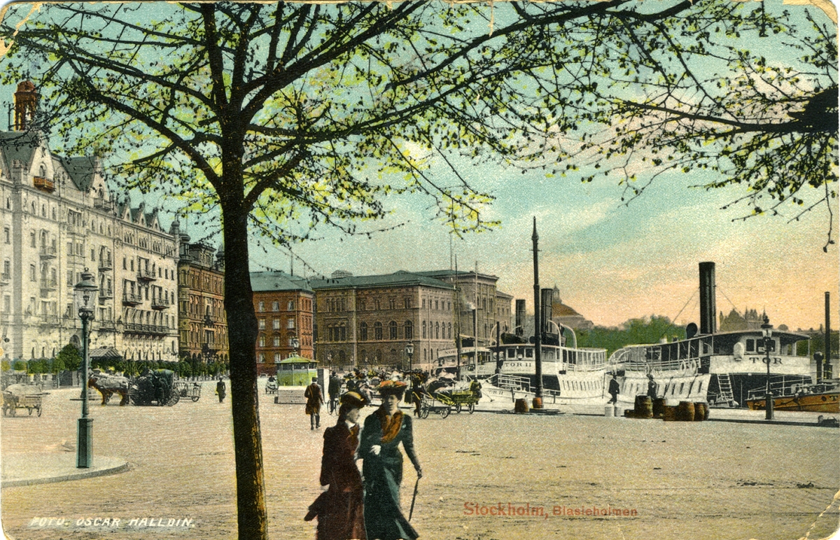 Stockholm, Blasieholmen
Foto: Oscar Halldin.
A. B. Oscar Halldins Konstförlag, Stockholm. No. 3023