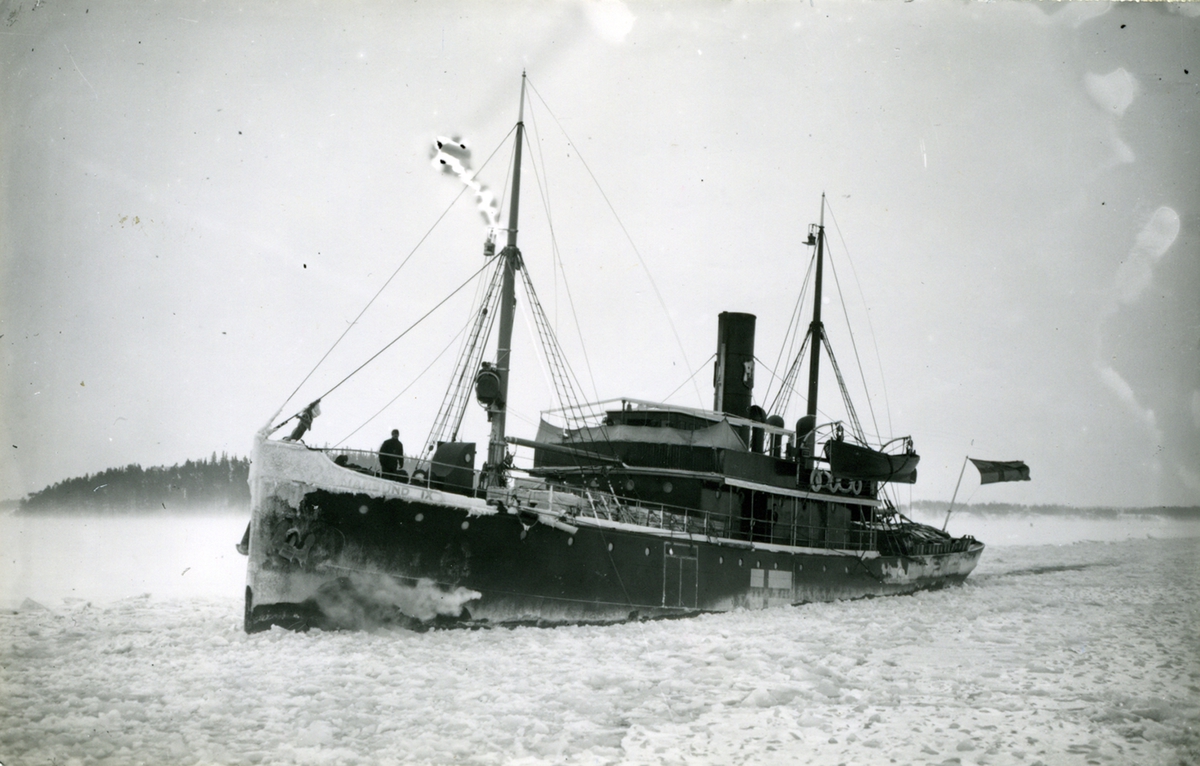 Fo216390