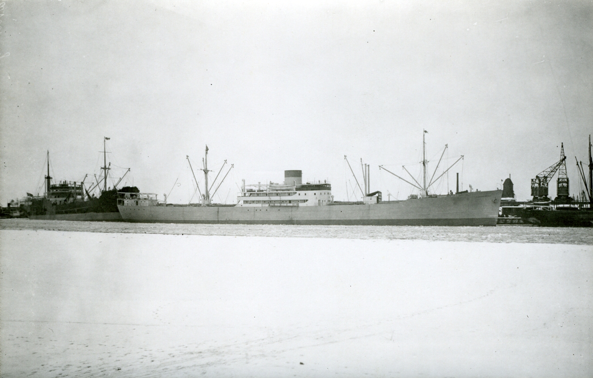 Fo216391