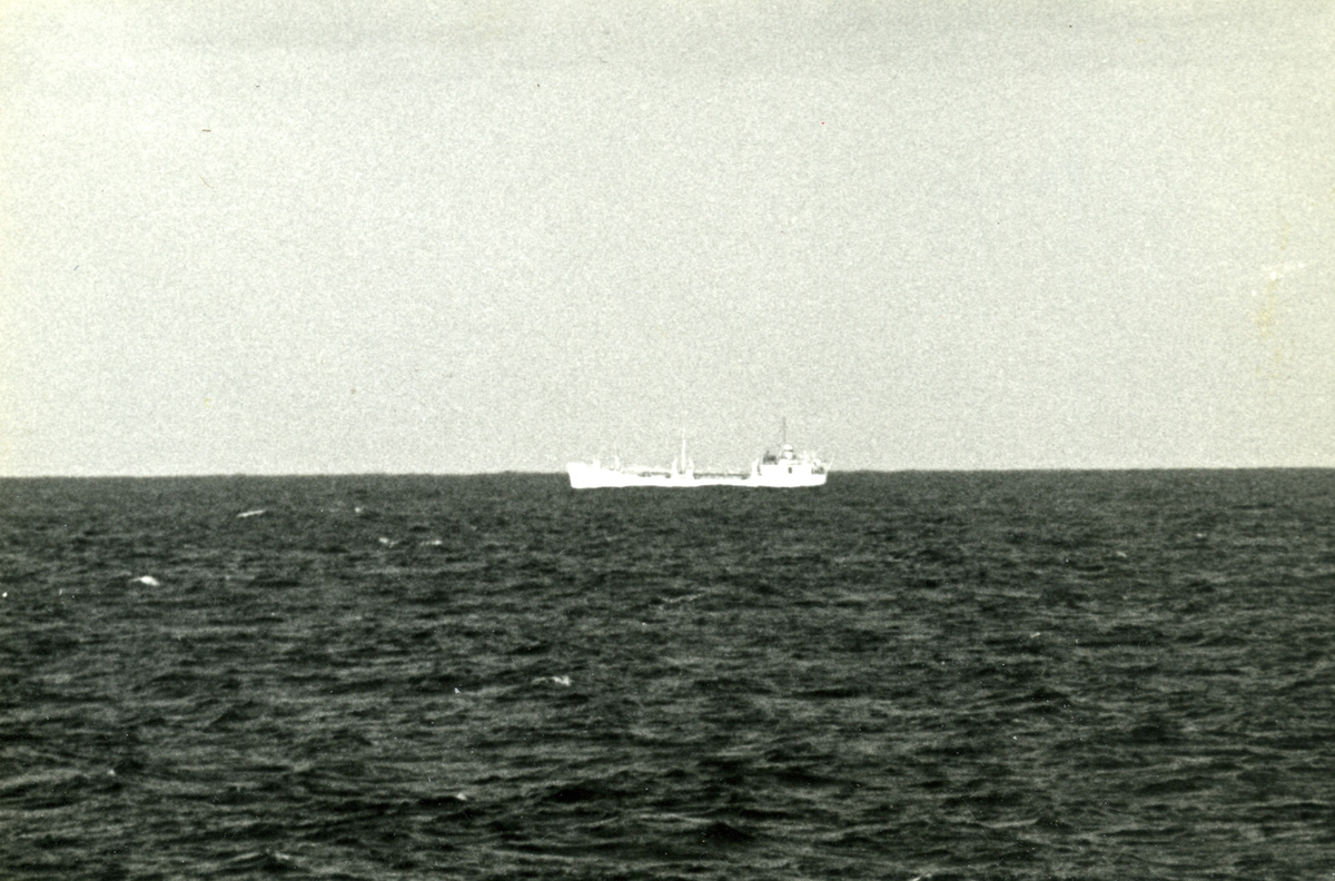 Ägare:/1968-7 /: Navigation Maritime Bulgare. Hemort: Varna.