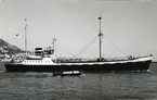 Ägare:/1960-73/: Nieuwe Kustvaart Matschappij N.V., /1973-78/: Nieuwe Kustvaart Matschappij B.V. Hemort: Amsterdam.