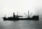 Ägare:/1934-37/: Dampskibsselskabet Viking A/S. Hemort: Köpenhamn.