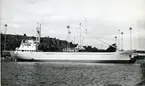 Ägare:/1966-73/: Partenreederei M/S Ruth Dieter. Hemort: Bremen.