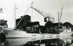 Ägare:/1961-72/: E. Wagenborgs Scheepvaart- & Expeditiebedrijf N.V. Hemort: Delfzijl.