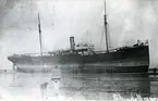 Ägare:/1880-96/: West Hartlepool Steam Navigation Co. Hemort: West Hartlepool,
/1896-1903/: Stranton Steamship Co. Ltd., /1903-14/: Angus Shipping Co. Ltd. Båda med hemort: Dundee.