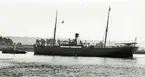 Ägare:/1888-1901/: Commercial Steamship Co. Ltd., /1901-03/: Star Shipping Co.Ltd. Båda med hemort: London.