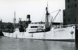 Ägare:/1909-37/: Dampskibsselskabet Norden A/S. Hemort: Köpe