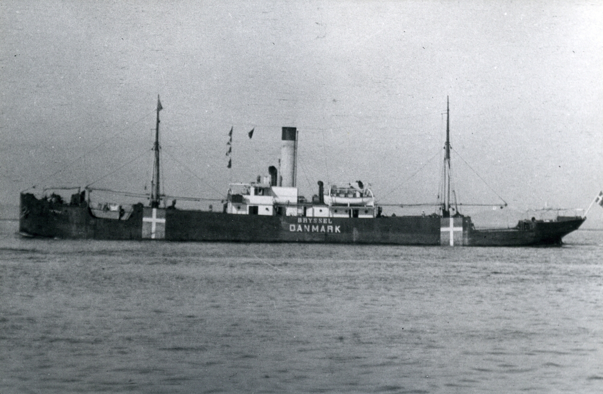 Ägare:/1916-23/: A/S Dampskibsselskabet Trafic. Hemort: Köpenhamn.