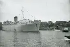CARONIA på Stockholms ström år 1959