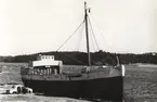 M/S MERCHANT