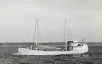 M/S VÄNERVIK. Fotot taget den 16/9 1967.