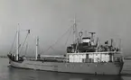 M/S VERONICA.