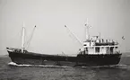 M/S HANSY. Fotot taget 29/6 1964.