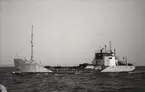 M/T HERMAN RASK. Fotot taget den 29/6 1964 i Öresund.