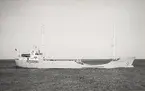 M/S GRAUTEN. Fotot taget den 30/7 1964 i Kalmarsund.