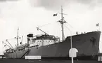 M/S ALTHEA. Fotot taget den 8/6 1964 i Sölvesborg.