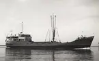 M/S ELIZABETH. Fotot taget den 7/8 1964 i Åhus.