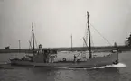 M/S SVEN WILHELM av Åhus. Fotot taget i Åhus hamn den 21/4 1964.