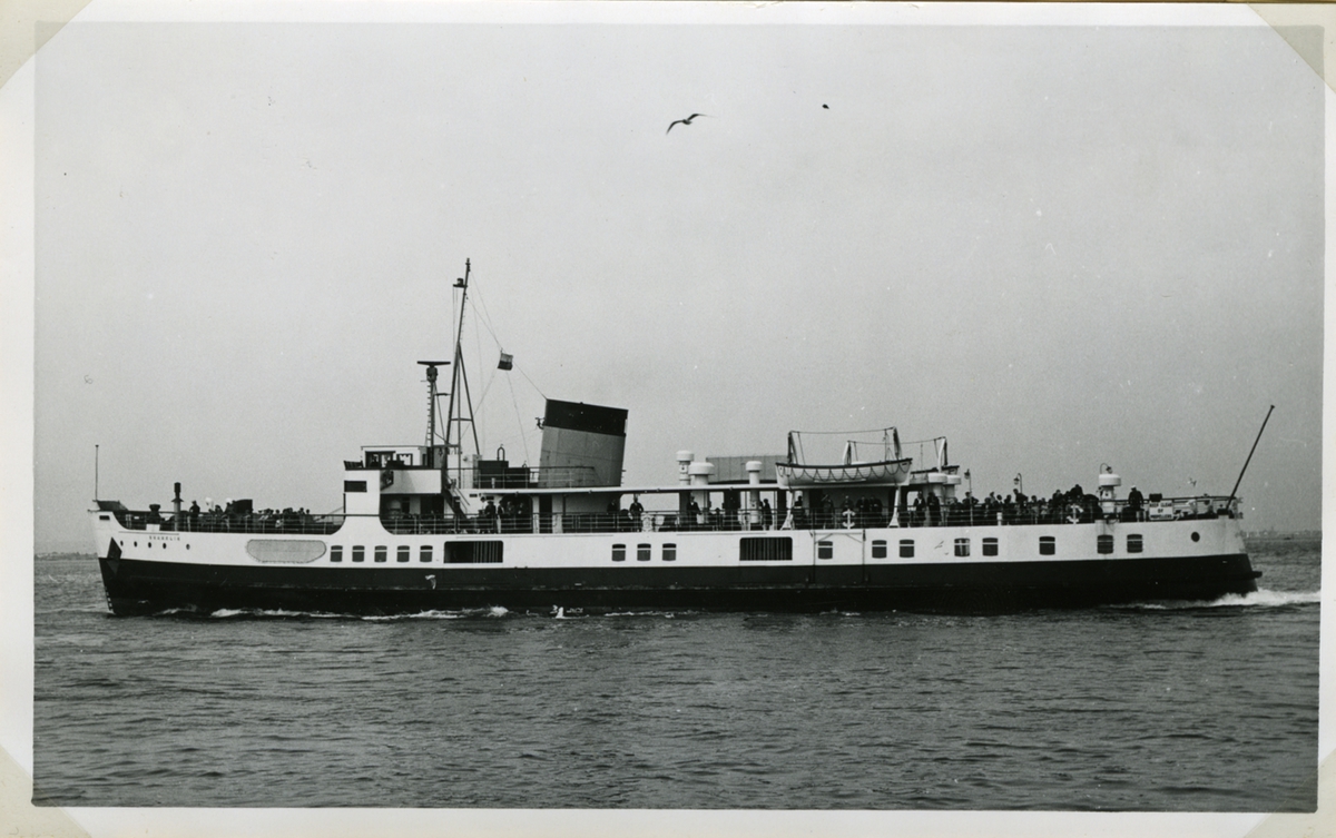 Fo220947
