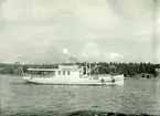 Foto i juli 1954, då Svan är i Halvkakesundet mitt för Käppala på Lidingö.