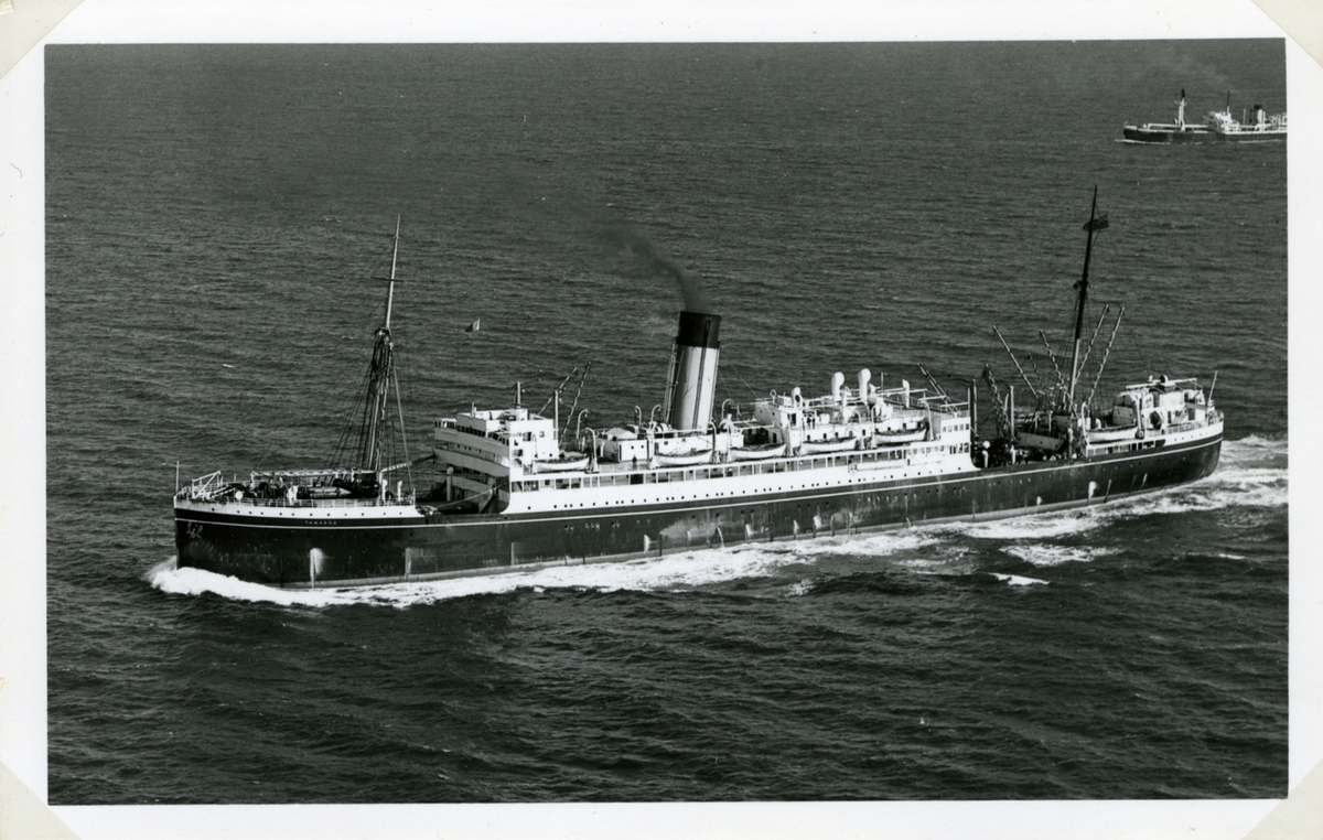 Fo221006