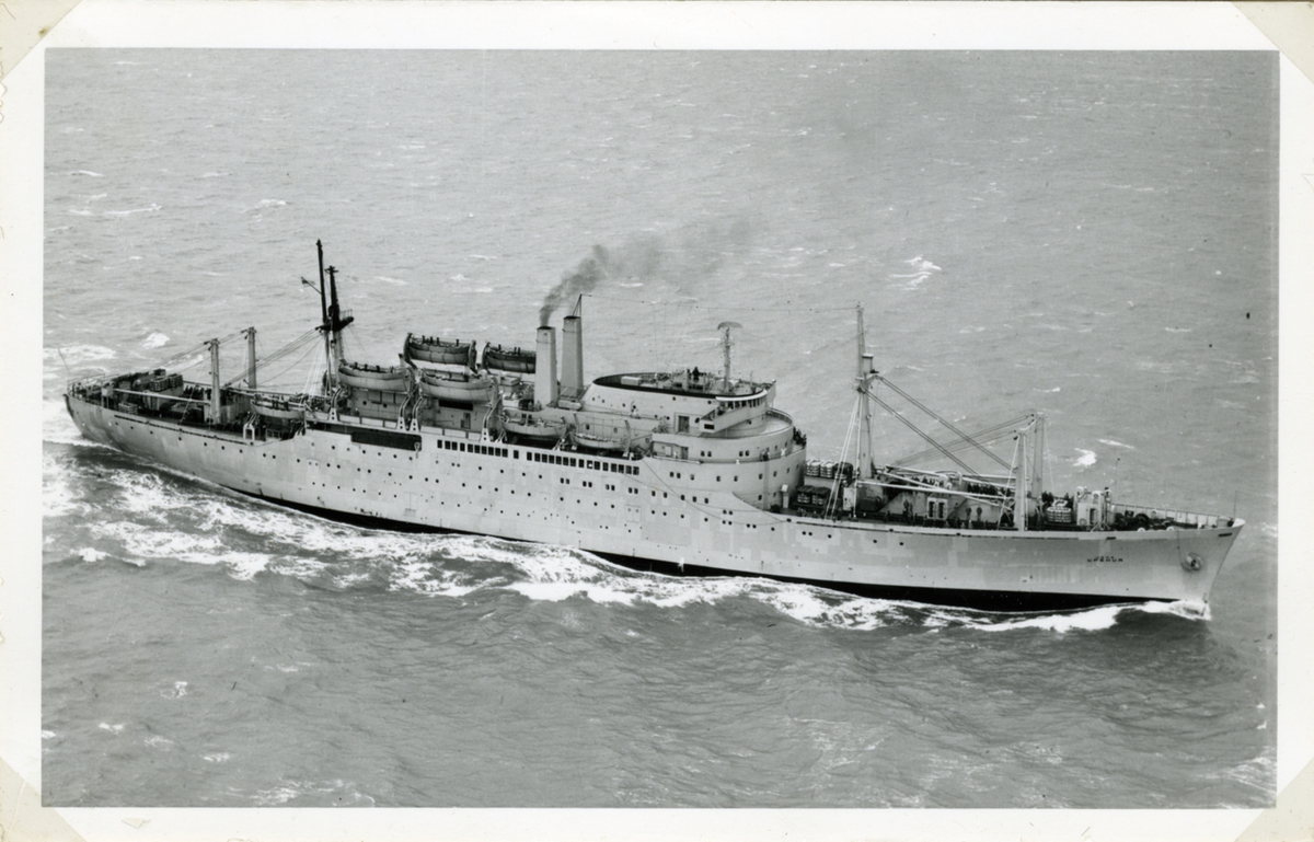 Fo221035