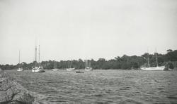 Segelfartyg tillhörande Svenska Seglarskolan.