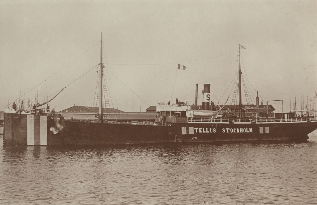 Fo226023