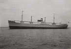 M/S VINNI