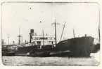 S.S. HOGLAND  ROTTERDAM 19 MAY 1922  HOLLAND