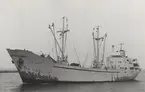 Lastmotorfartyget JO-TOR liggande i Malmö hamn 8.3.1966.