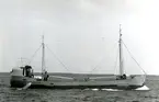 Lastmotorfartyget DENIA av Köpenhamn i Öresund den 12.6.1966.