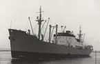 Lastmotorfartyget SICILIA av Göteborg i Malmö 2.4.1966.