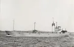 Lastmotorfartyget BIRGITTA av Uddevalla i Öresund 12.6.1966.