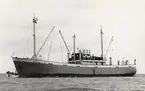 Lastmotorfartyget ARVI av Marstal i Åhus den 2.7.1965.