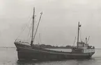 Lastmotorfartyet BÖLJAREN av Hovenäset (Gbrg) i Köpenhamn 4.9.1965.