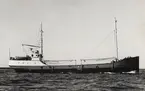 Lastmotorfartyget PATRIA av Skärhamn i Åhus 19.7.1965.