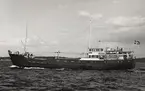 Lastmotorfartyget FRATERNITÉ av Stockevik i Öresund 14.8.65.