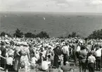 Delfilering av Kustflottans fartyg vid operation Kullen den 25.7.1955.
